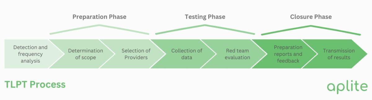 Threat-Led Penetration Testing (TLPT) Process
